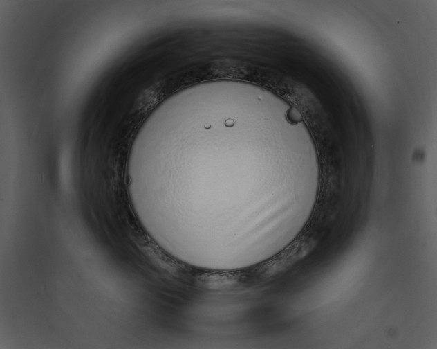 X0000089360765200707131615