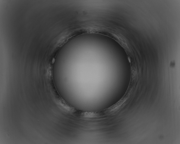 X0000089360766200707131615