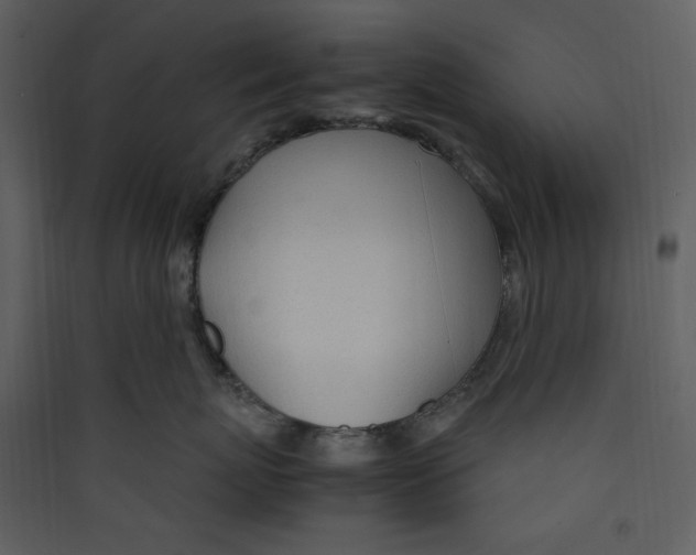 X0000089360767200707131615