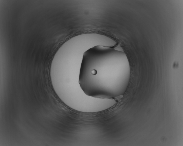 X0000089360768200707131615