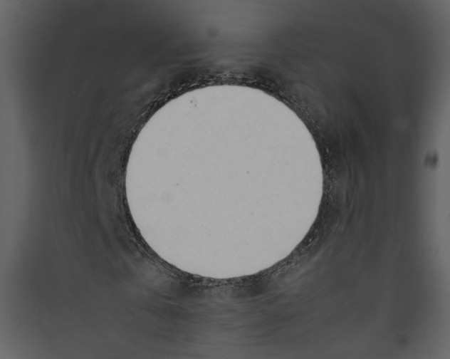 X0000089360769200707131614