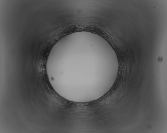 X0000089360770200707131614