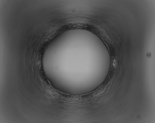 X0000089360771200707131614