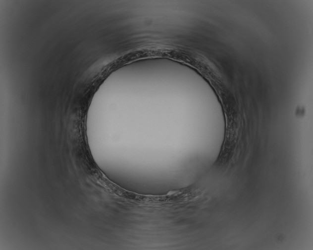 X0000089360773200707131614