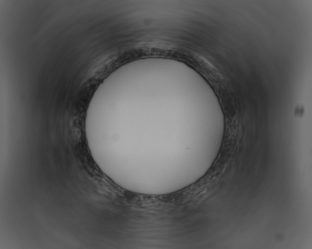 X0000089360774200707131614