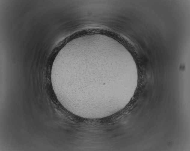 X0000089360775200707131614