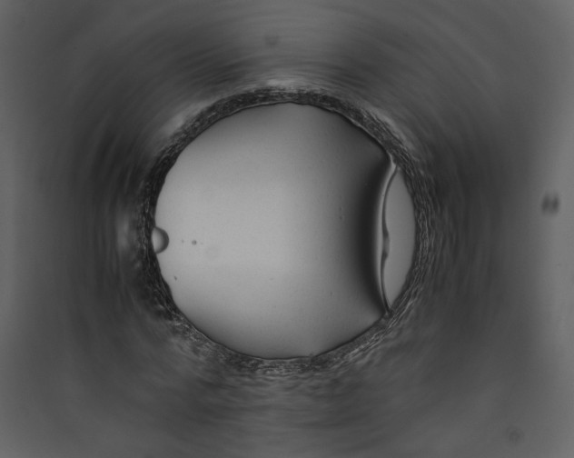 X0000089360776200707131614
