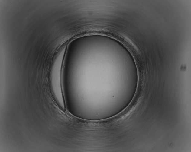 X0000089360777200707131614