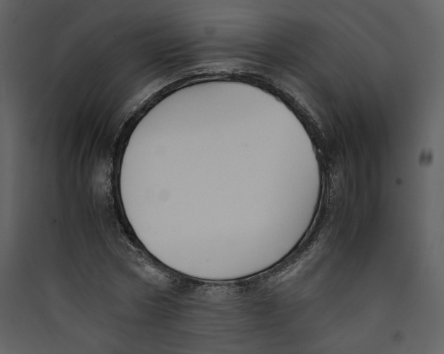 X0000089360778200707131614
