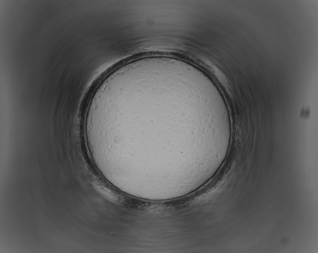 X0000089360779200707131614