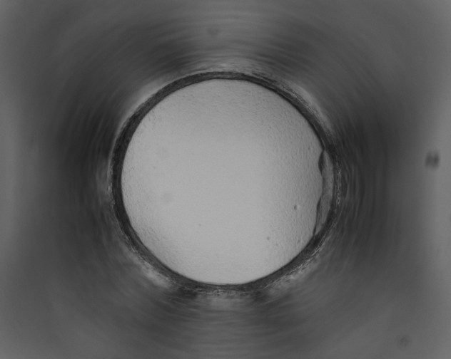 X0000089360780200707131614