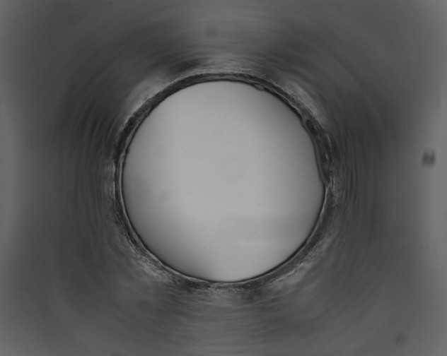 X0000089360781200707131614
