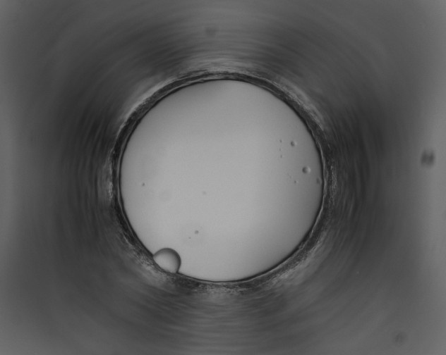 X0000089360782200707131614