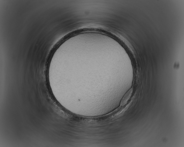 X0000089360783200707131614