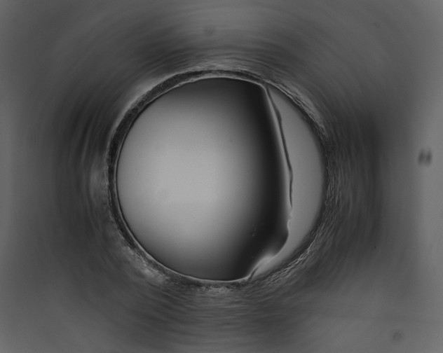 X0000089360784200707131614