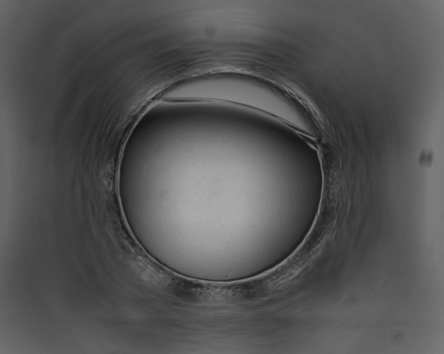 X0000089360785200707131614