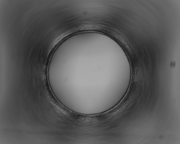 X0000089360786200707131614