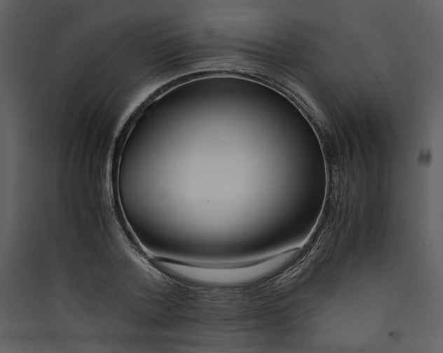 X0000089360788200707131614