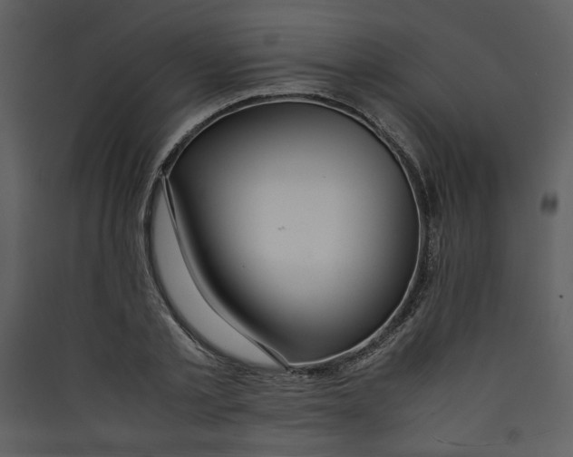 X0000089360789200707131614