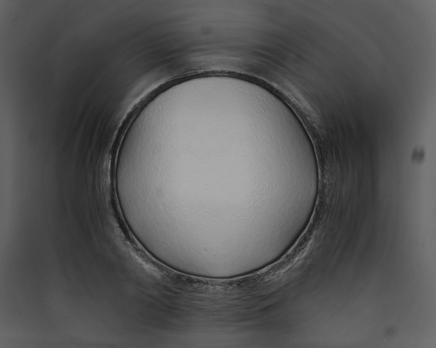 X0000089360790200707131614