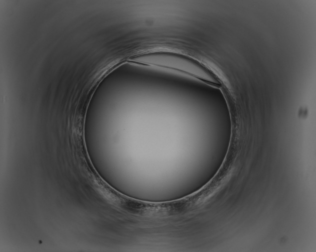 X0000089360793200707131614