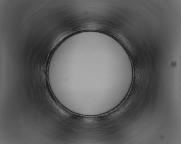 X0000089360794200707131614