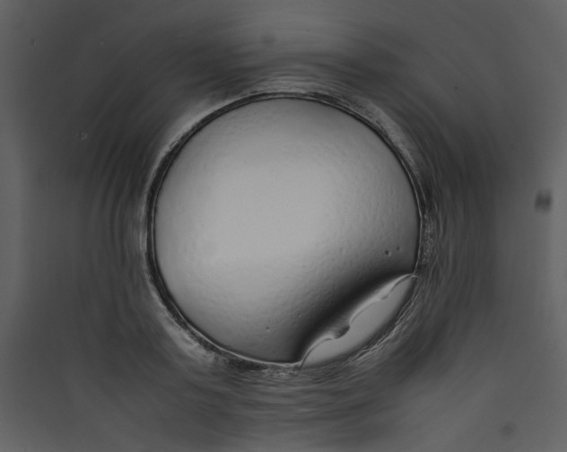 X0000089360795200707131614