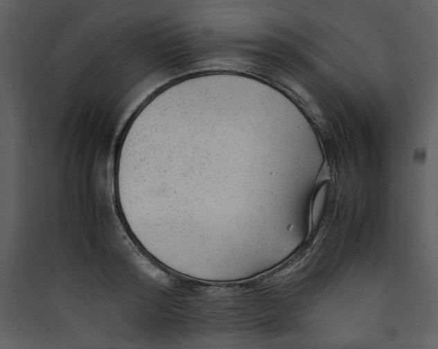 X0000089360796200707131614