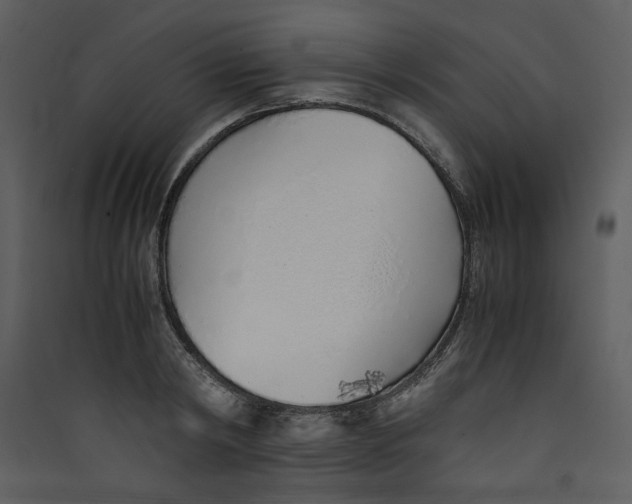 X0000089360798200707131614