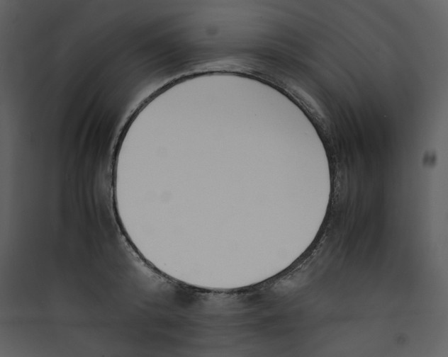 X0000089360800200707131614