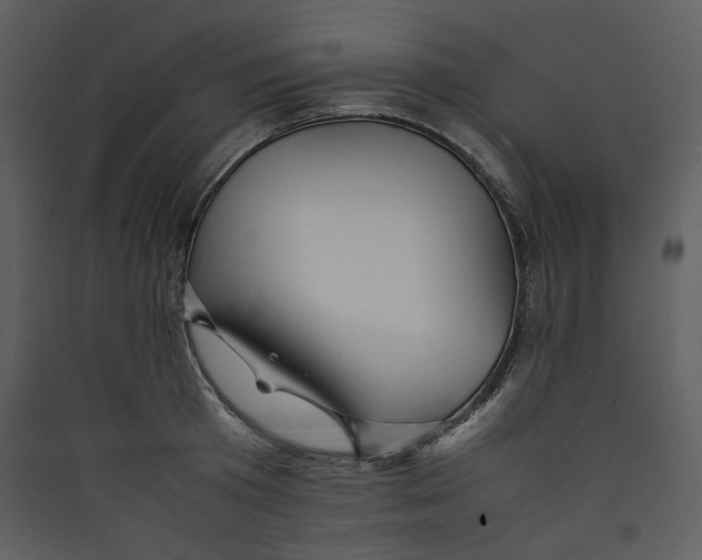 X0000089360801200707131614
