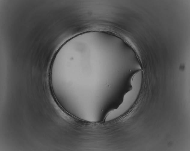 X0000089360803200707131614