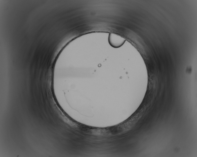 X0000089360804200707131614