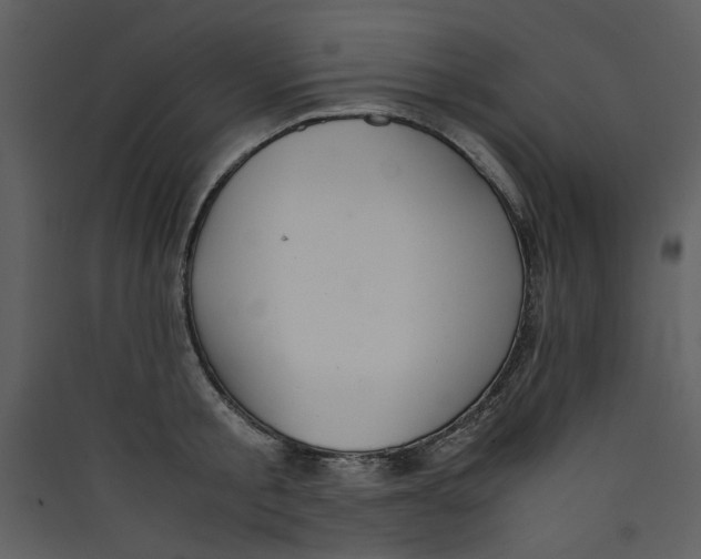 X0000089360805200707131614