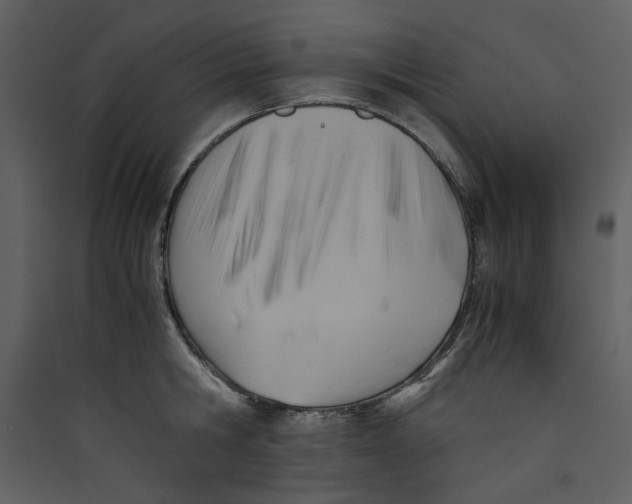X0000089360806200707131614