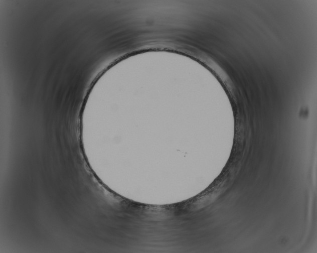 X0000089360807200707131614
