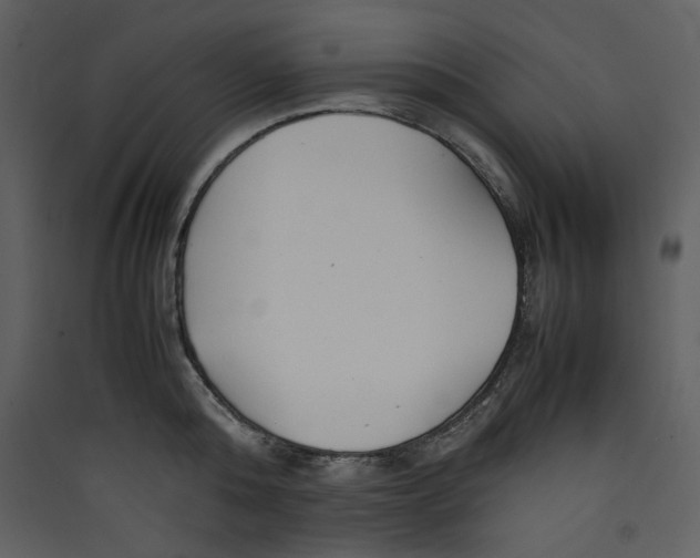 X0000089360808200707131614