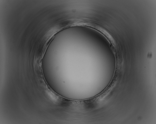 X0000089360809200707131614
