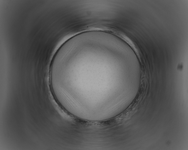 X0000089360811200707131614
