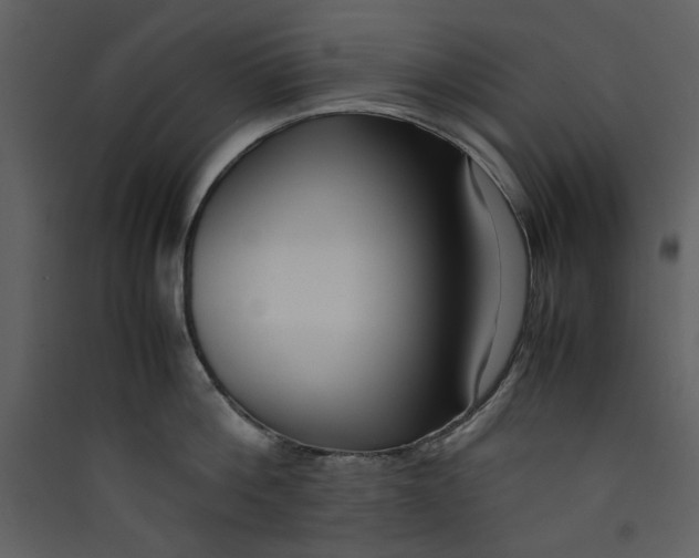 X0000089360812200707131614