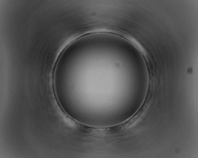 X0000089360813200707131614