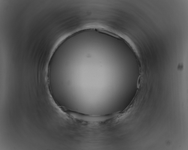 X0000089360815200707131614