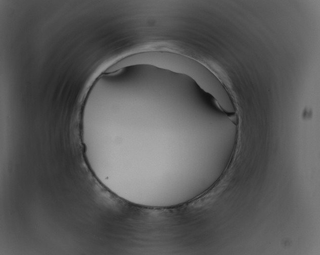 X0000089360816200707131614