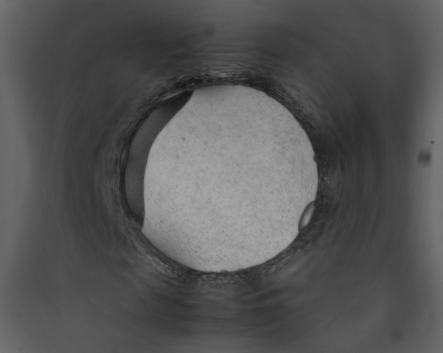 X0000089360817200707131613