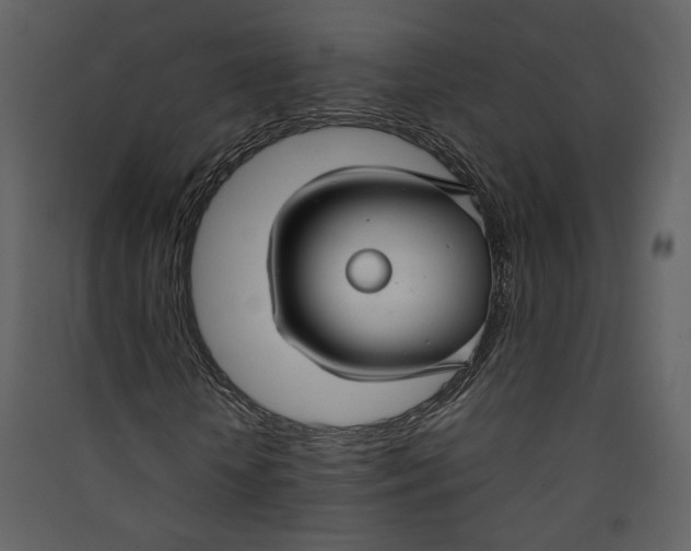 X0000089360818200707131613