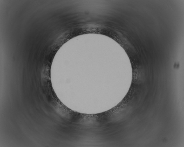 X0000089360820200707131613
