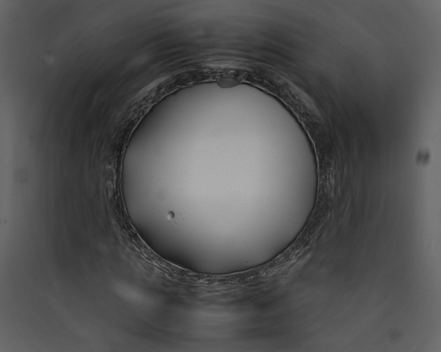 X0000089360821200707131613
