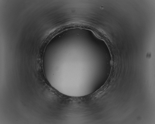 X0000089360822200707131613