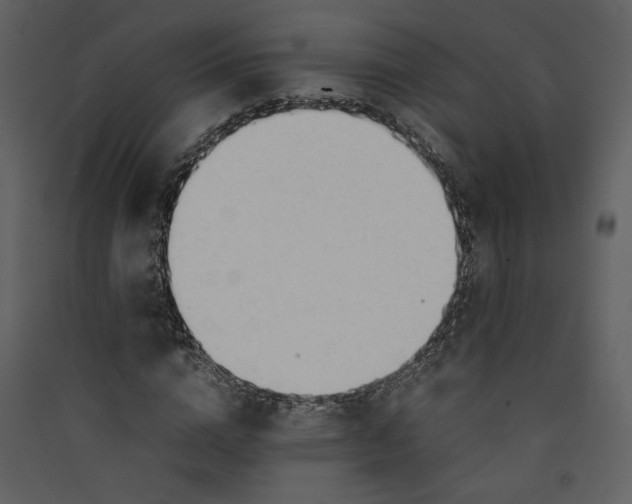 X0000089360824200707131613