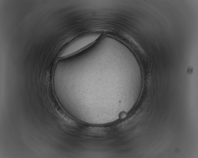 X0000089360825200707131613